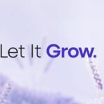 RareSkills and Starknet Foundation Publish Free Advanced Developer Course for Starknet